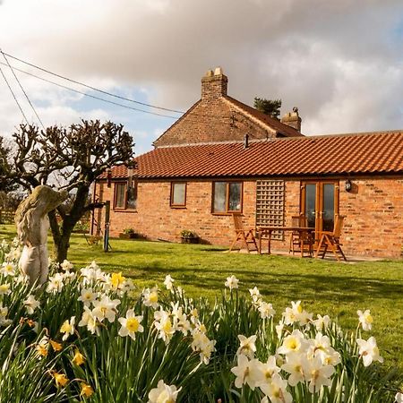 Morndyke Cottage Thirsk Exterior photo